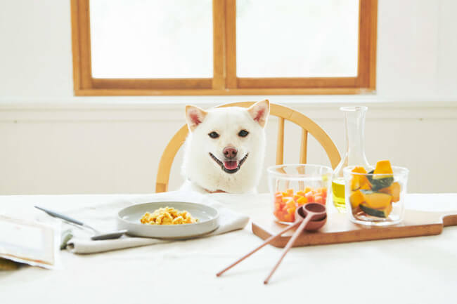 オーダーメイドドッグフード 愛犬に合うごはんを届けるサービス5選